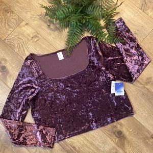 NWT Velour Crop Top